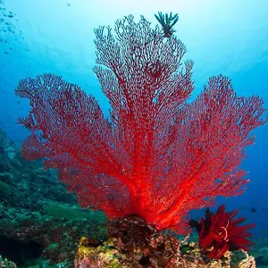 Adani Ksamil Affittacamere